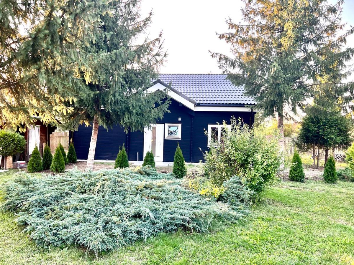 Vila Scandinavia Sîngeorgiu de Mureş المظهر الخارجي الصورة